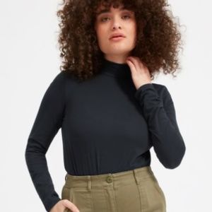 Everlane The Pima Stretch Turtleneck